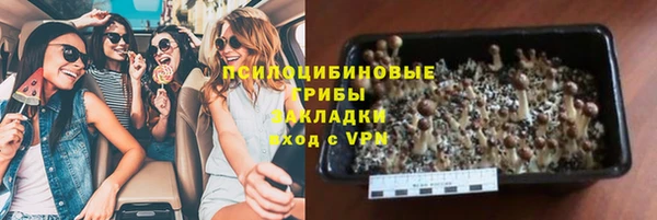 jwh Белокуриха