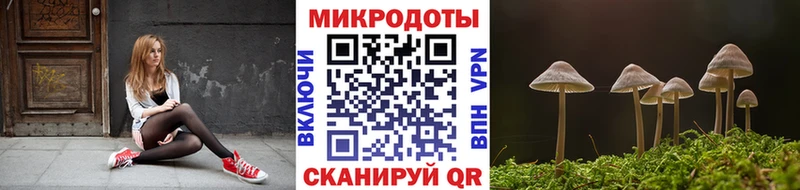 где найти   Кузнецк  Галлюциногенные грибы ЛСД 
